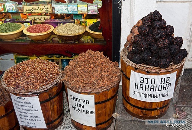 Синайские приключения. Шарм-эш-Шейх и окресности