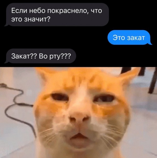 Немного картинок для настроения - 139
