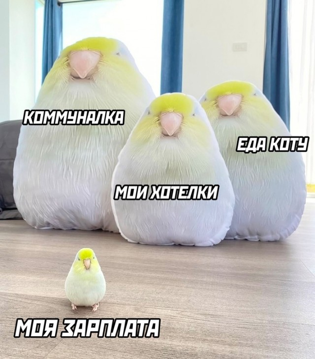 Весёлый полтишок 21.05.23