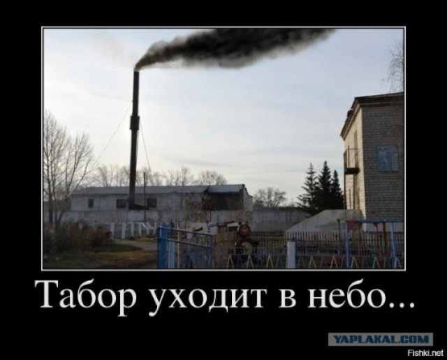 Видео для Томми