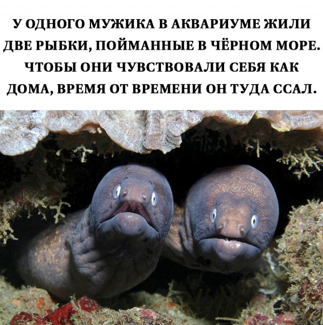 Немного картинок и прочей хреноты Vol. 28