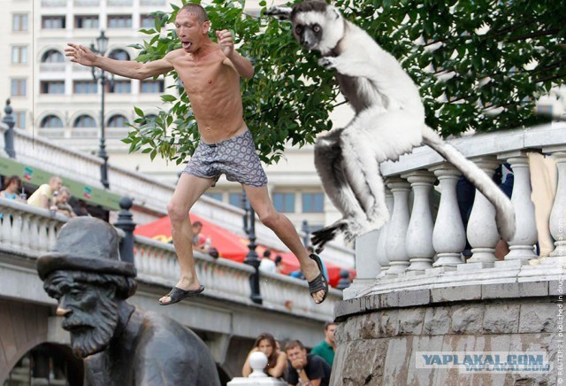 Фотожаба: Прыгун