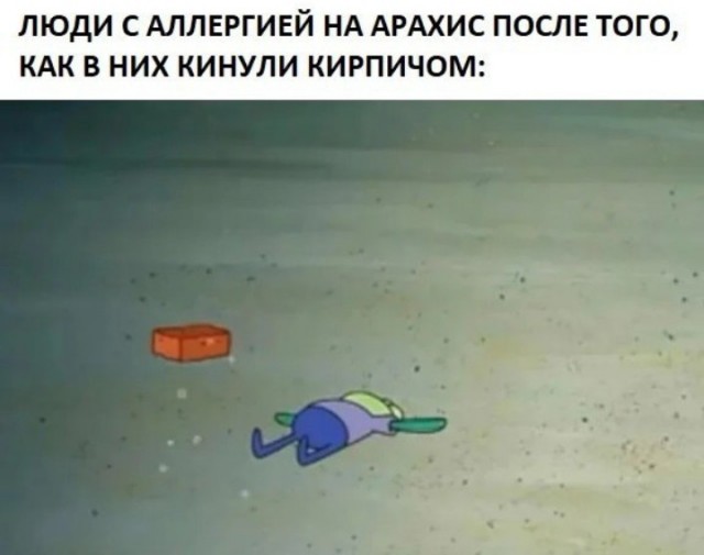 Всего понемногу. От 04.03.24