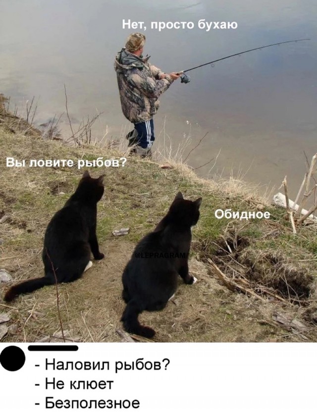 Так себе картинки 14.04.24