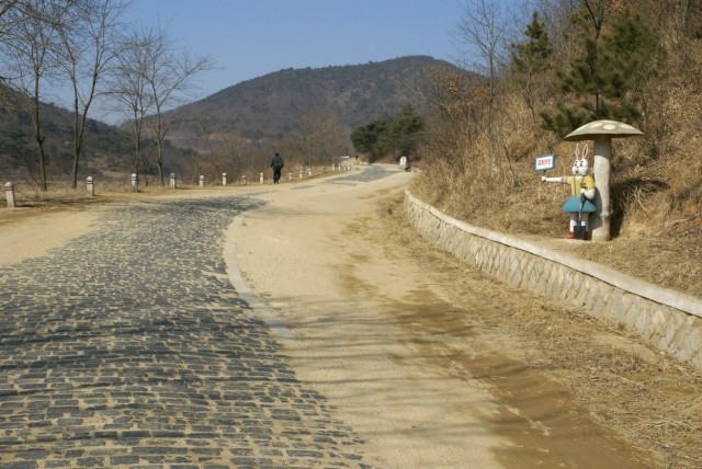 Товарищ Ким Чен Ын