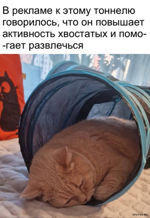 Пятничное. Для определения степени "уравнения"