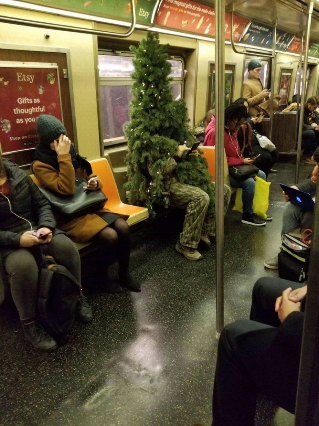 Прикольные и просто красивые картинки 10.12.2024