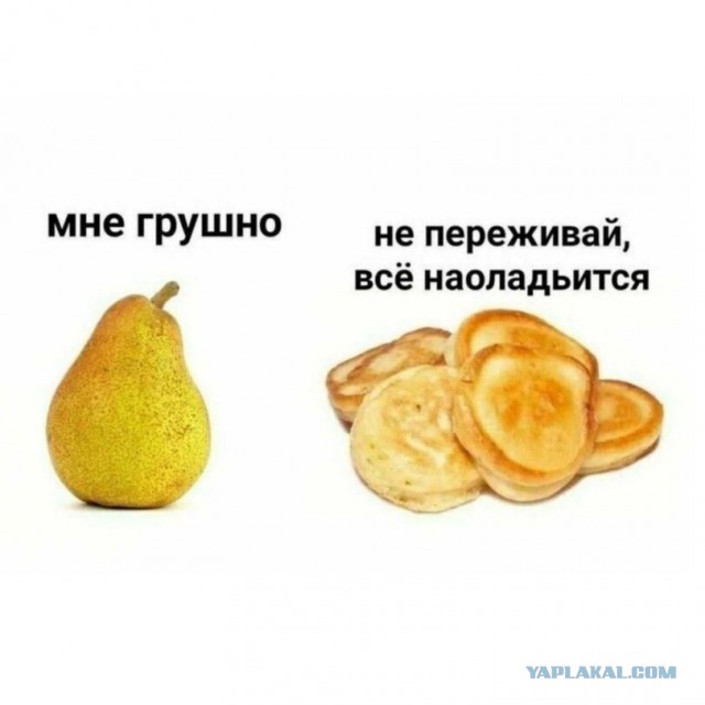 Кто украл мой пертуссин?