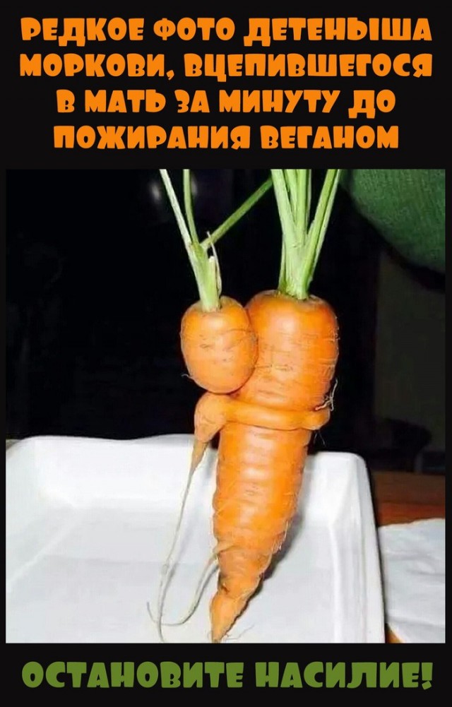 Когда веганам хочется лосося, но в голове же беда совсем