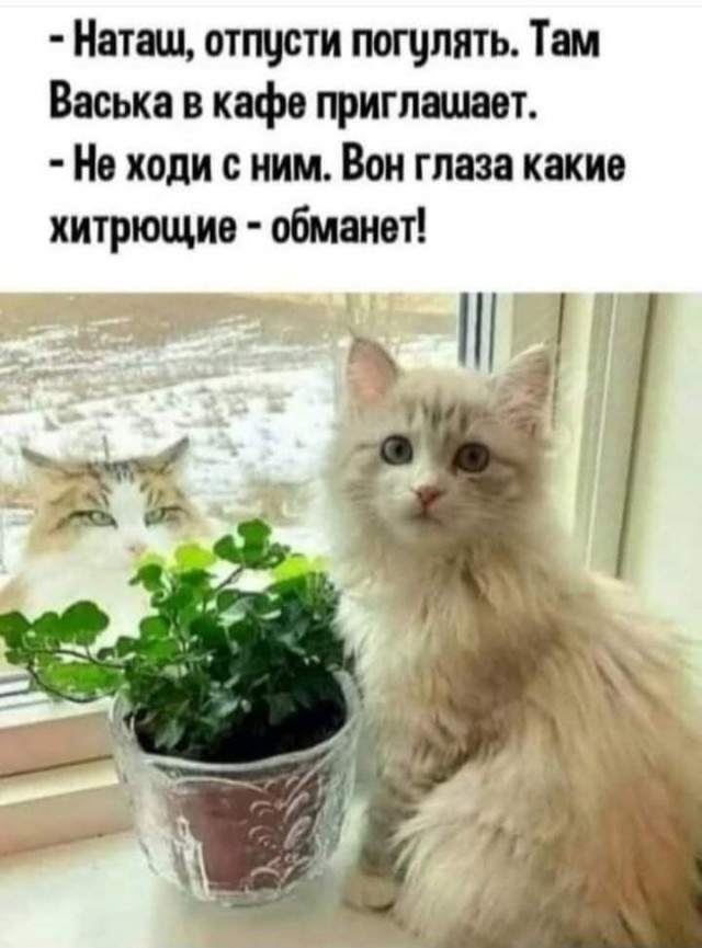 Так себе картинки 27.02.25