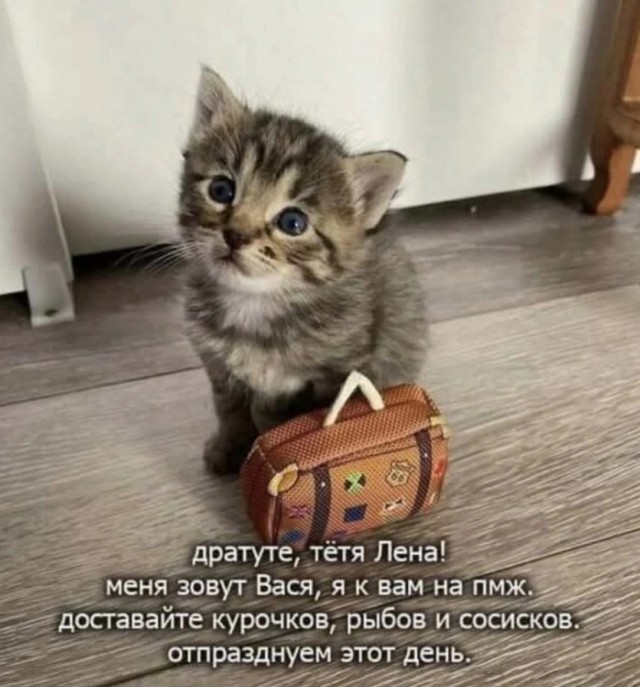 Завалялось тут случайно немного забавных картинок