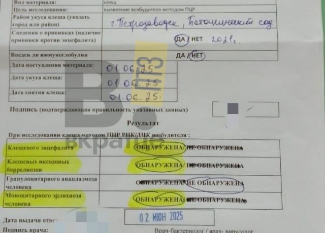 Жительницу Петрозаводска укусил клещ, заражённый сразу тремя инфекциями: энцефалит, боррелиоз и эрлихиоз