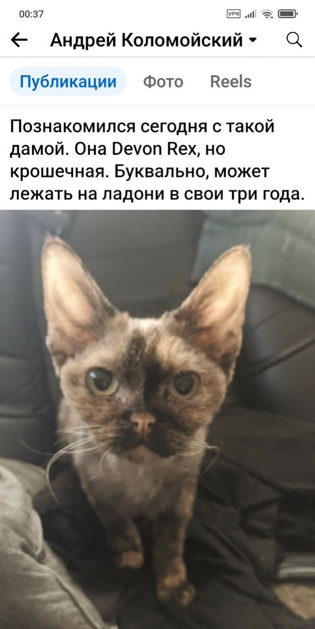 Позвони мне позвони