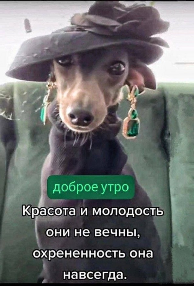 Прикольные и просто красивые картинки 22.08.2025