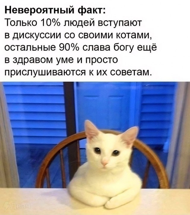 Субботние мысли