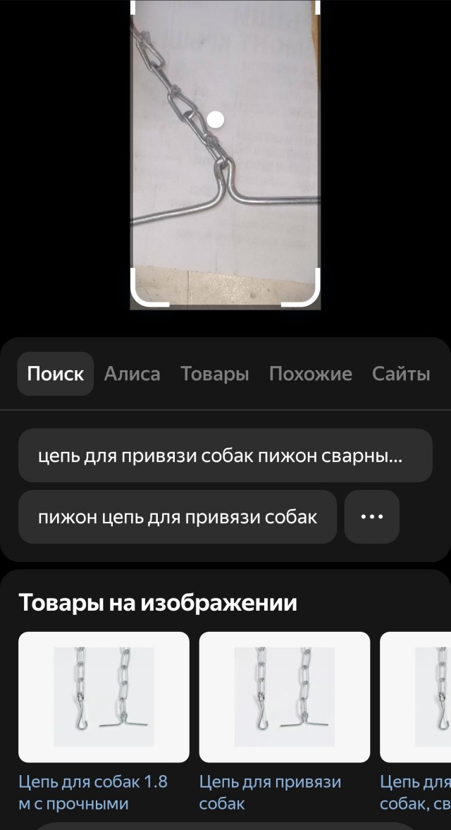 ЯП познавательный