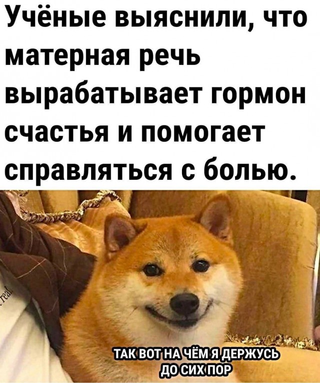 Картинки на кануне Рождества.