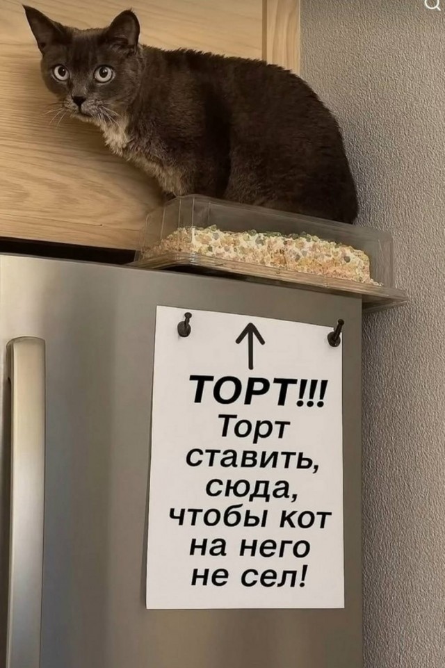 Понедельника картинки