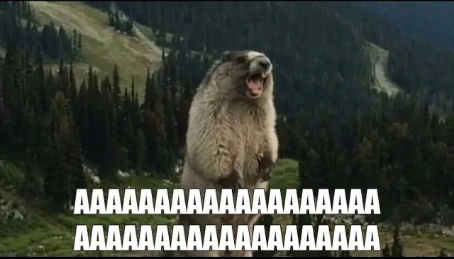 В Туапсе приняли решение озеленить город, для улучшения экологической обстановки