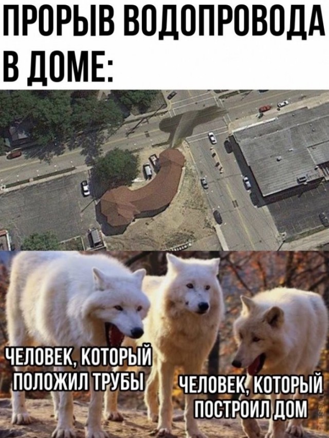Веселые картинки в пятницу (08.05)
