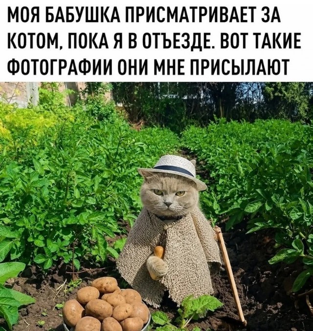 Так себе картинки 15.06.26