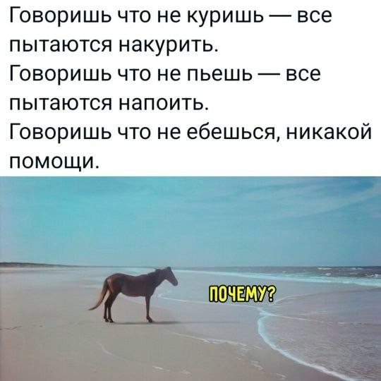 Вопрос вопросов