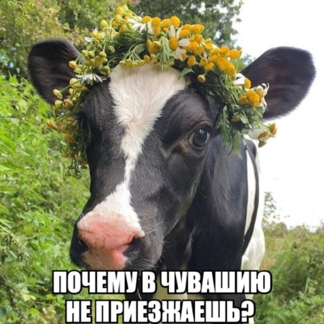 Никакого комплекса у меня нет, я действительно неполноценный!