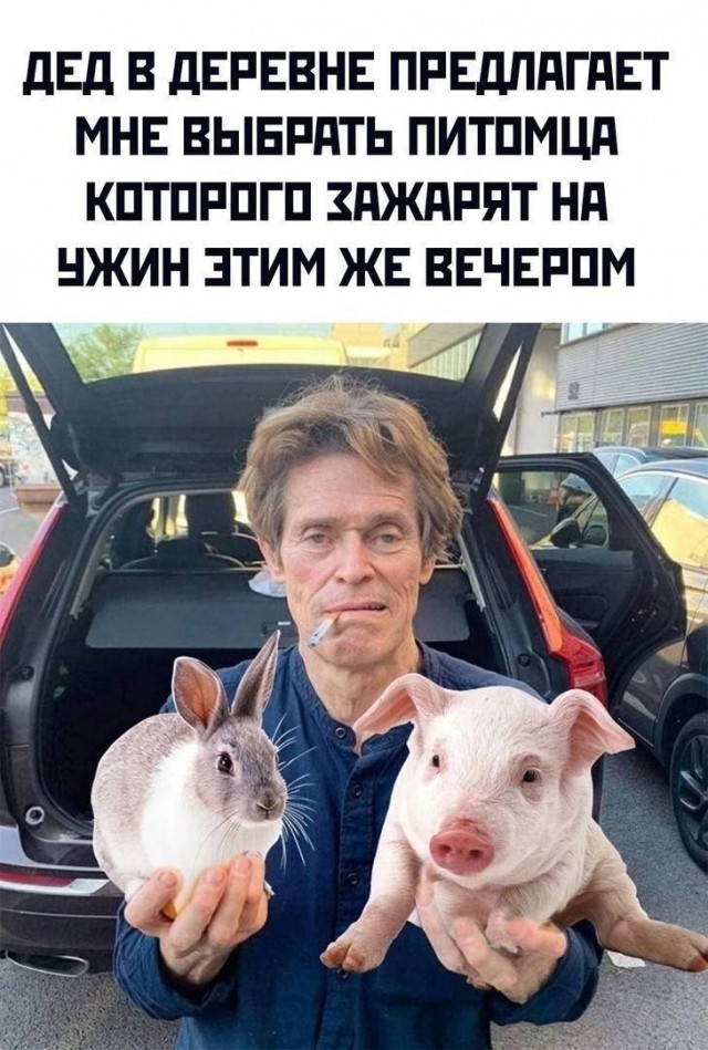 Картинки для деградации 250 (разной степени свежести)