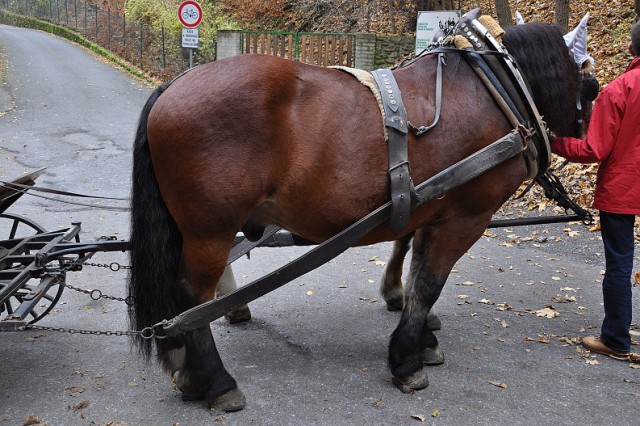 Прага. Фотоотчет.