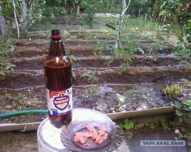 Писать много не люблю.