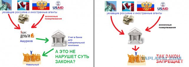 Соратник Навального попросил политического убежища