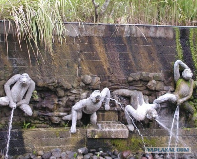 Картинки