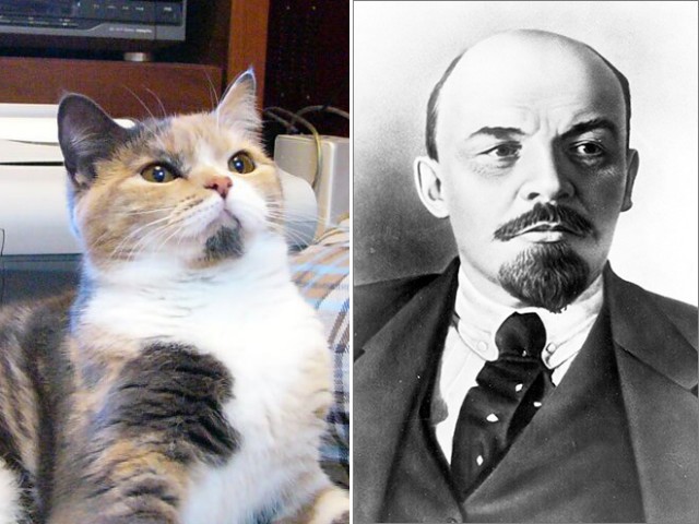 Весёлые картинки