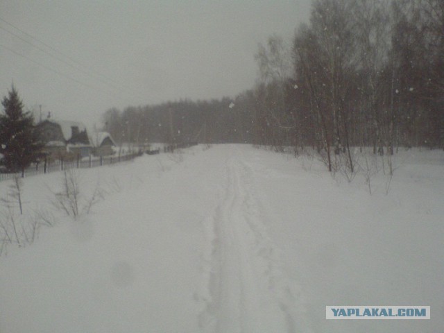 Хочу в Россию.