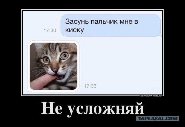 Подборка картинок из соцсетей