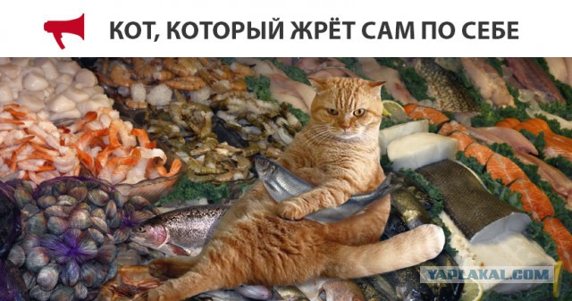 "Если ты это куда-то выложишь - я тебя убью!"