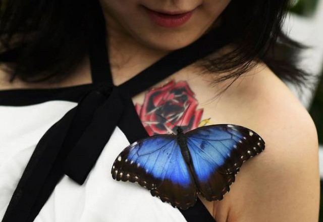 Подборка картинок 29.03.16