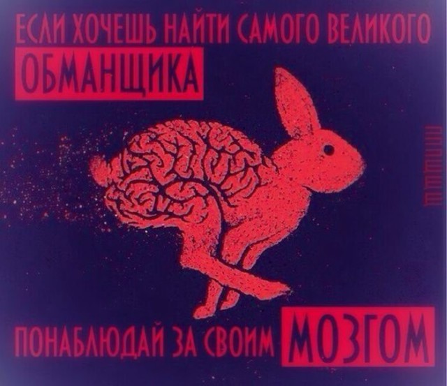 Смешные СМС и комменты