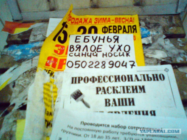 Подборка интересных и смешных картинок