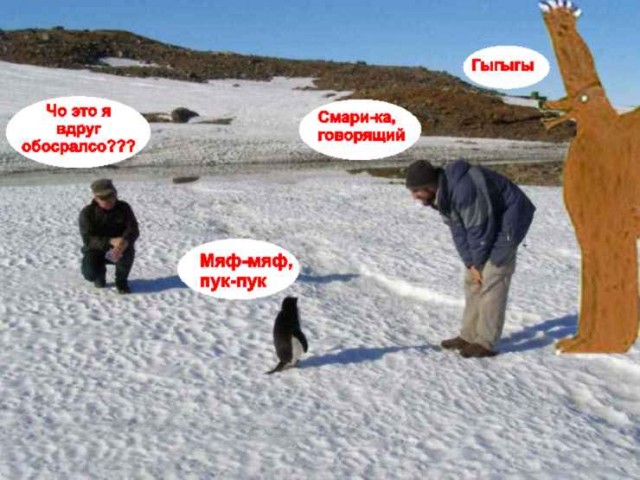 Фотожаба: Полярники окружают!