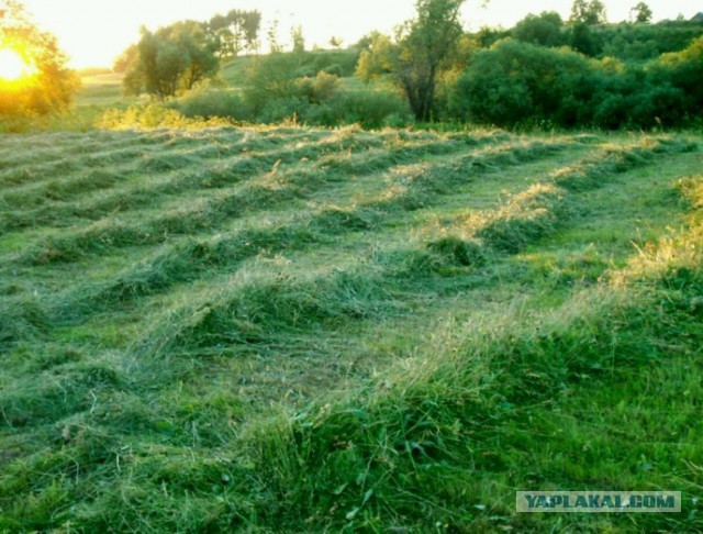 А вы когда-нибудь пробовали клепать косу?