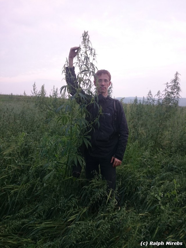 Дом для Сатаны