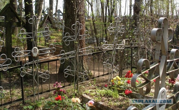 В Туле неизвестные выкопали из могилы и раздели тело похороненной тулячки