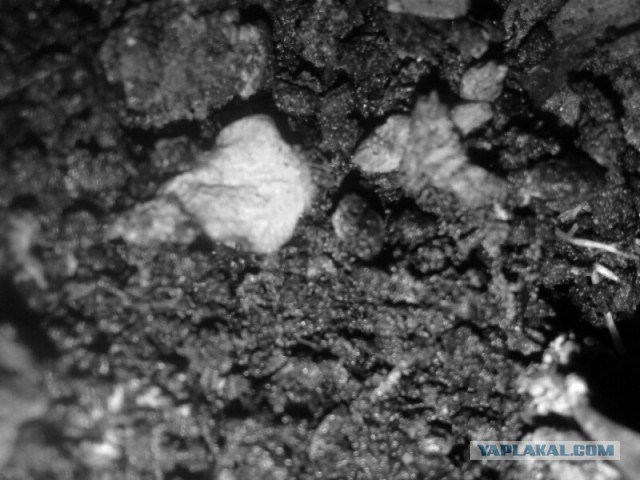 Секунда с поверхности кометы Чурюмова — Герасименко