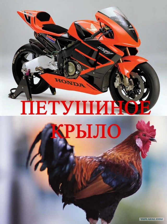 Клички у автомобилей