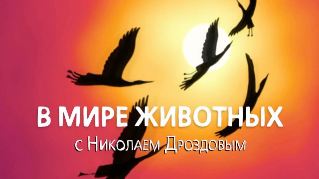 В Тверской области мужчина на глазах у посетителей кафе ударил знакомую ногой по лицу