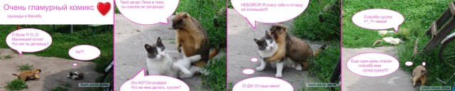 Сурок и кот, тема охоты