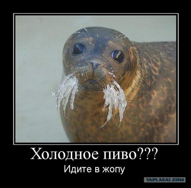 Зима такая зима