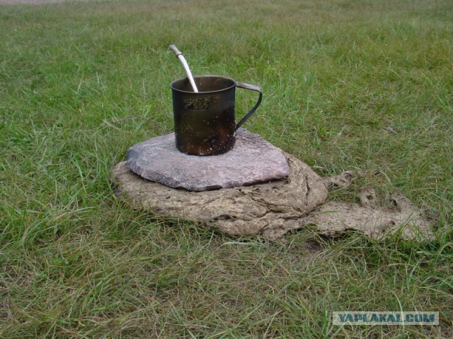 Приключения турки