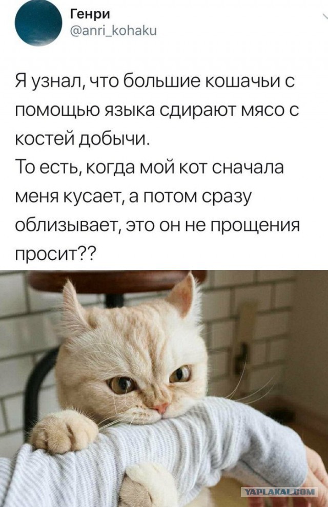 Немного картинок на вечер